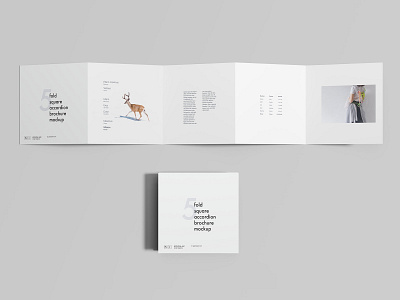 Download 5 Fold Brochure Mockup Designs Themes Templates And Downloadable Graphic Elements On Dribbble