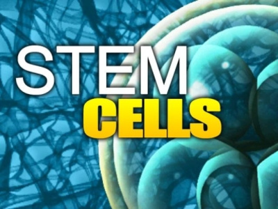 Stem Cell Therapy Houston - Sugar Land Functional Medicine houston stem cell therapy stem cell therapy houston