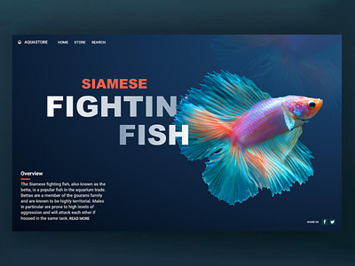 Responsive Website UI Design for a aqua fish page design fish website landing page design landingpage webdesign website website concept