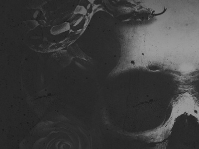 Gn cracked photoshop roses skull snakes texture