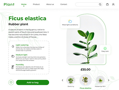 Plant - web shot ui web design