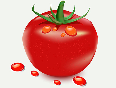 #Tomato Illustration design illustration