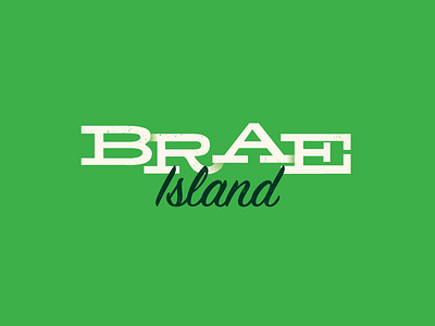 Parks Campaign font island lettering parks retro slab type typography words