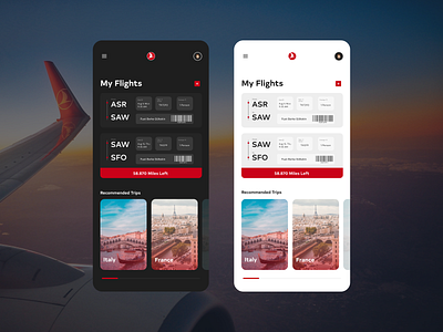 Turkish Airlines Flight Assistant App Design