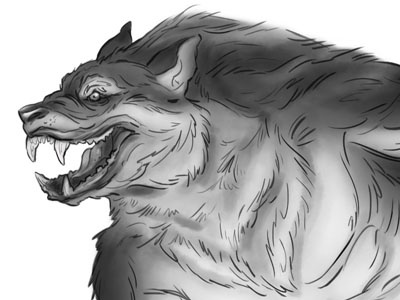 Wolfman Sketch - Side View full moon lycanthropy man moon werewolf wolf wolfman