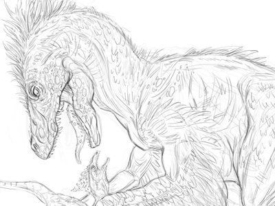 Dromaeosaurus - Sketch