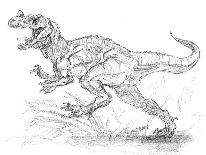 Ceratosaurus Sketch by Liz Masters on Dribbble