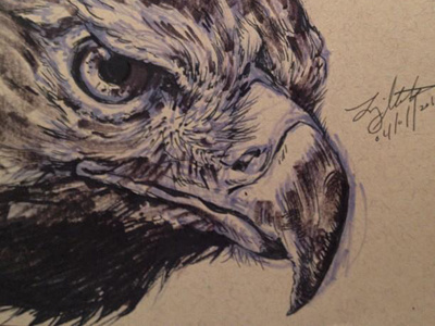 Eagle 04/01/2012 eagle marker pen recycled paper traditional illustration