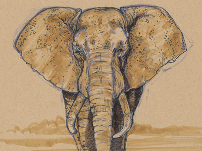 Elephant - MAX ride sketch 05/03/2012