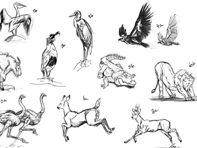 Vertebrate Gesture Sketches animal brush pen gesture ink pen vertebrate