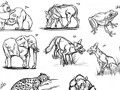 Vertebrate Gesture Sketches round 2 animal brush pen gesture ink pen vertebrate