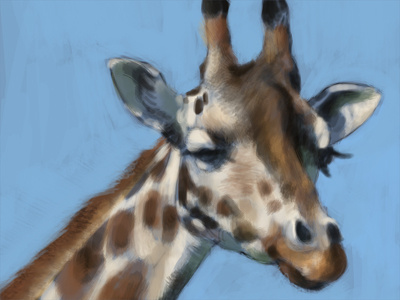 Giraffe Study (1st color pass) giraffe painting photoshop