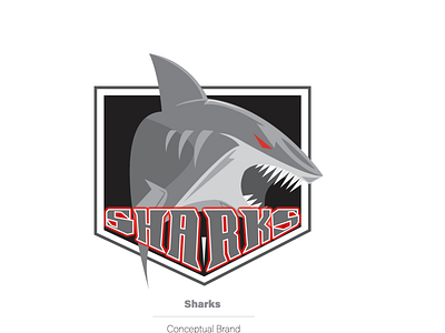 Sport Sharks