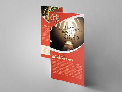 Brochures branding design designs illustration vector