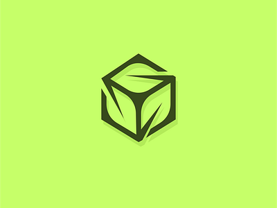 Leaf Box art branding design icon illustration illustrator logo vector