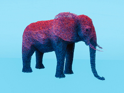 Elephant c4d elephant lines wool
