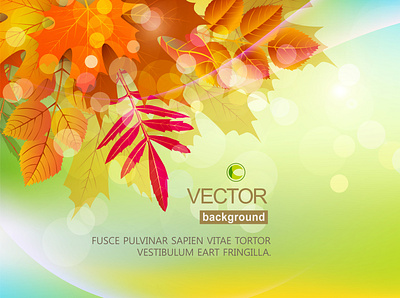 autumn autumn background card concept design gold illustration leaves mood vector