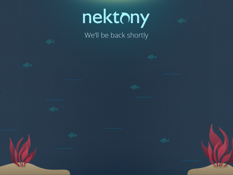 Maintenance page after effects animation fish maintenance page nekton sea