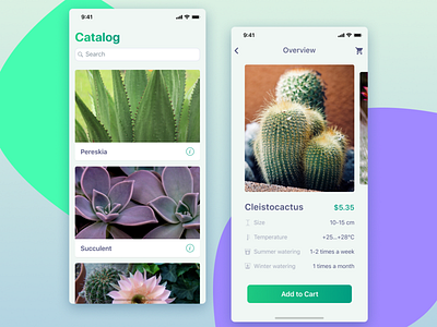 Cacti. Shop. eCommerce app cacti cactus ecommerce figma ios iphone mobile shop ui ux