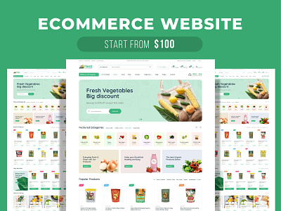 Ecommerce WordPress website