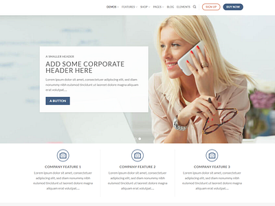 WordPress E-commerce website landing page