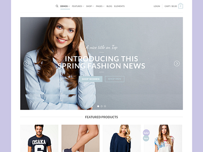 WordPress E-commerce website landing page