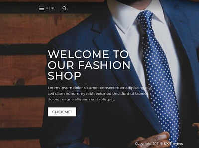 WordPress E-commerce website landing page website