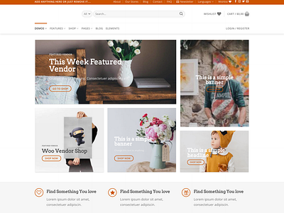 WordPress E-commerce website landing page