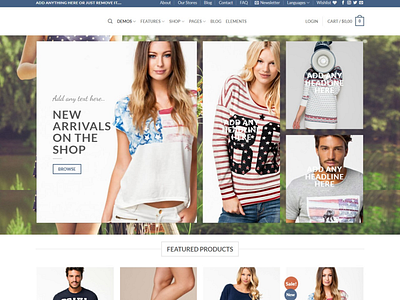 WordPress E-commerce website landing page