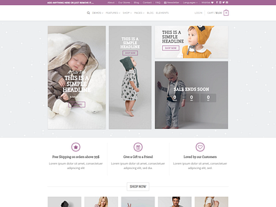 WordPress E-commerce website landing page website