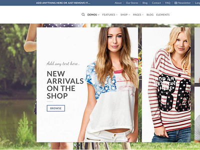 WordPress E-commerce website landing page