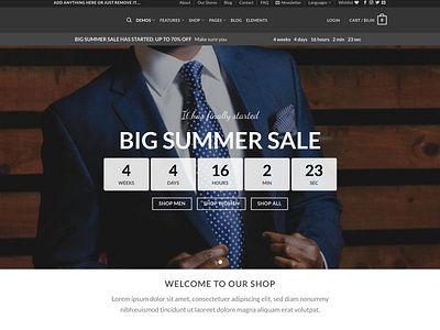 WordPress E-commerce website landing page