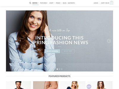 WordPress E-commerce website landing page