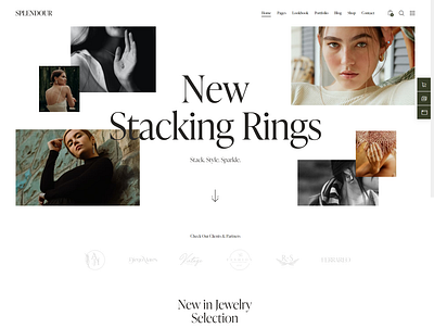 I will build ecommerce website or woocommerce website website jewelry