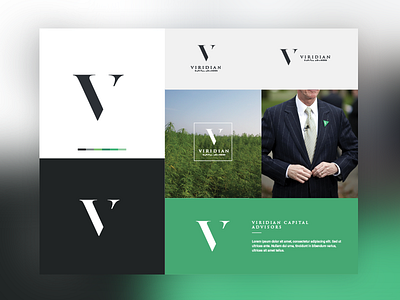 Concept Board for Viridian branding clean corporate green icon identity logo logo design mark modern typography wordmark