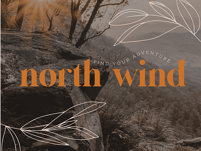North Wind ✦ Fall Inspired Logo + Branding autumn bold branding design earthy fall fall inspired illustration logo modern natural photography trendy typography