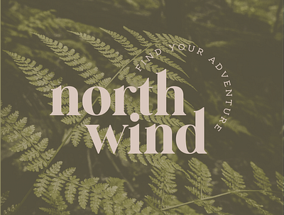 North Wind ✦ Nature Inspired Logo + Branding adventure approachable bold branding design earthy logo modern nature organic trendy typography