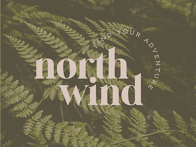North Wind ✦ Nature Inspired Logo + Branding
