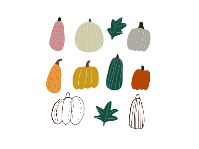 pumpkins illustration