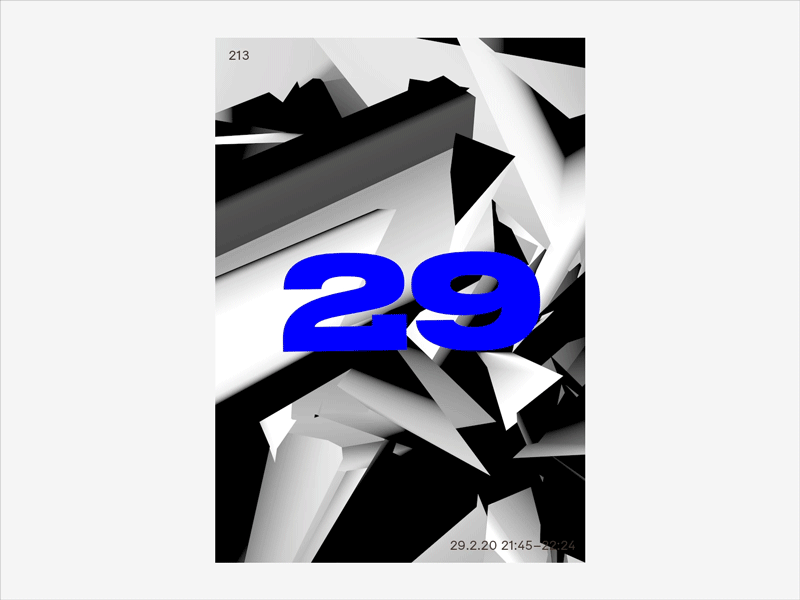 213 / 29.2.20 poster