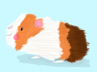 Boris animal brushes cute fun guinea guineapig pig smile texture