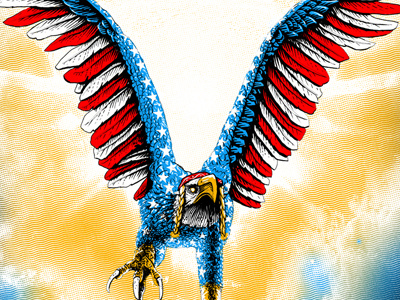 Willie Nelson america diy eagle family freedom screenprinting stars stripes