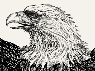 Gigposter Wip american eagle illustration silkscreen