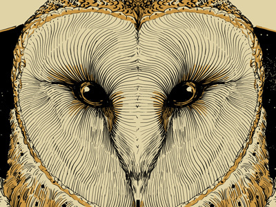 Cosmic Owl barn owl gigposter illustration screenprint space stars wip