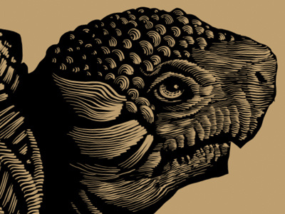 Tortoise contour gigposter illustration line turtle weight wip