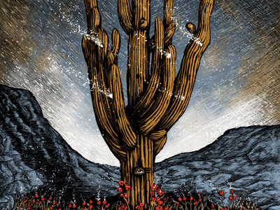 My Morning Jacket Gigposter arizona cactus dream flowers gigposter phoenix rocks room screenprint space universal