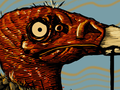 Wide Eyed buzzard desert illustration line weight sun vulture