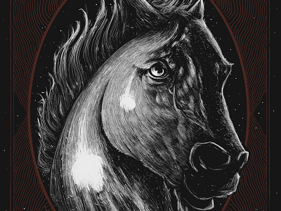Molting Season art cosmos horse illustration screenprint
