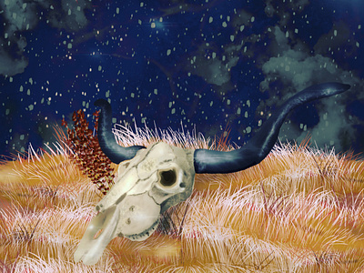 SOUTHWESTERN SKULL ILLUSTRATION