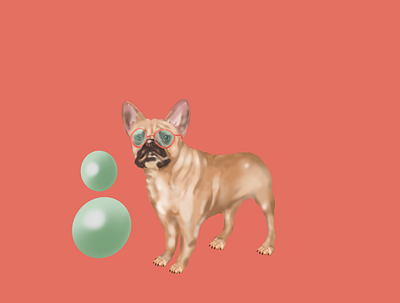 Little Guy French Bulldog dog dog illustration illustration illustration art illustration design pet portrait pet store